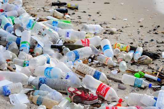 10 facts of plastic pollution everyone should know